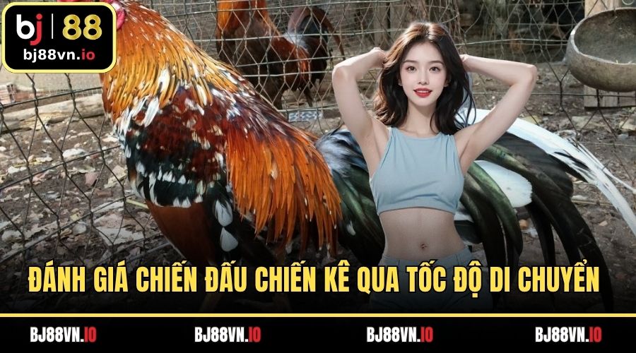 Đánh giá chiến đấu chiến kê qua tốc độ di chuyển