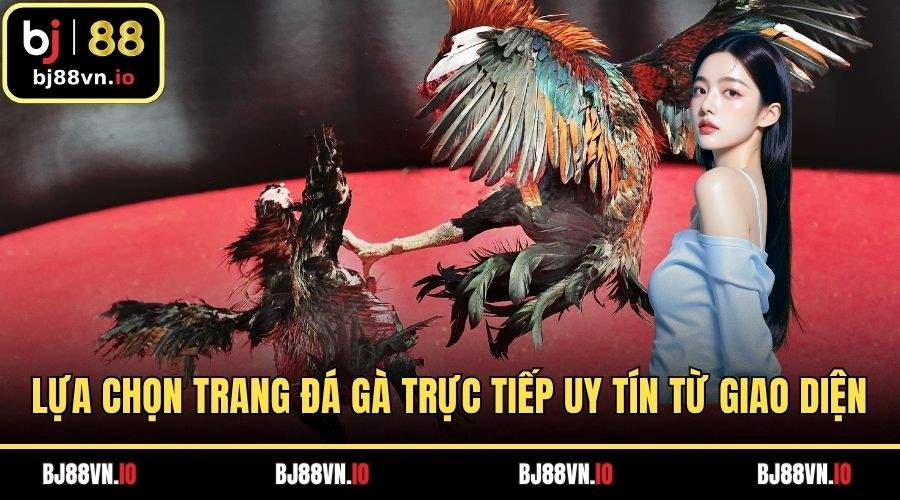 Kinh nghiệm lựa chọn trang đá gà trực tiếp uy tín từ giao diện