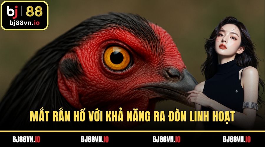 Mắt rắn hổ với khả năng ra đòn linh hoạt