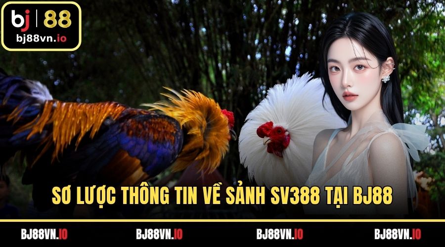 Sơ lược thông tin về sảnh SV388 tại BJ88