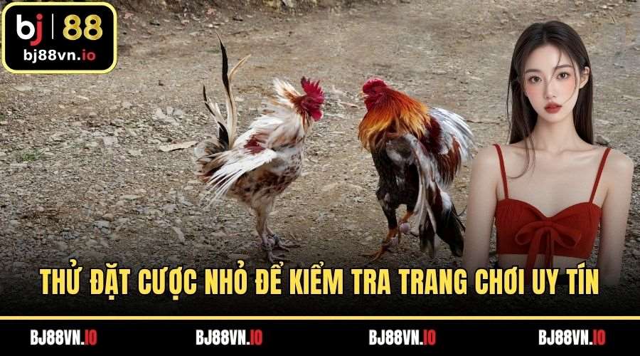 Thử nghiệm đặt cược nhỏ để kiểm tra trang chơi uy tín