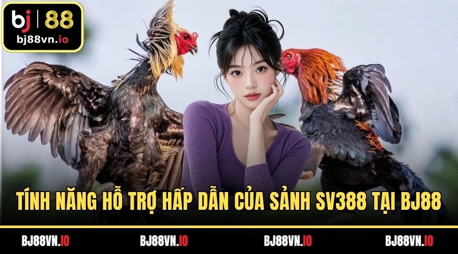 Tính năng hỗ trợ hấp dẫn của sảnh SV388 tại BJ88