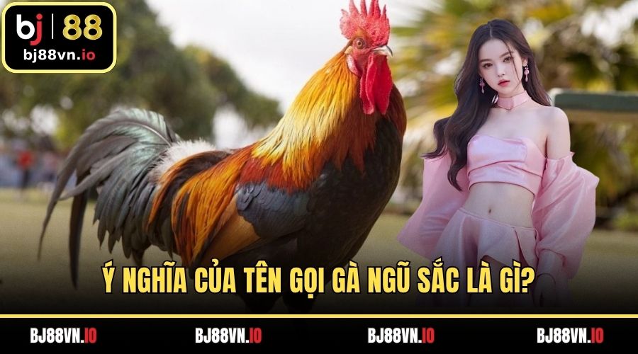 Ý nghĩa của tên gọi gà ngũ sắc là gì?